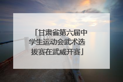 甘肃省第六届中学生运动会武术选拔赛在武威开赛