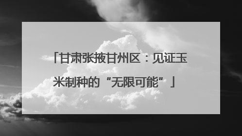 甘肃张掖甘州区：见证玉米制种的“无限可能”