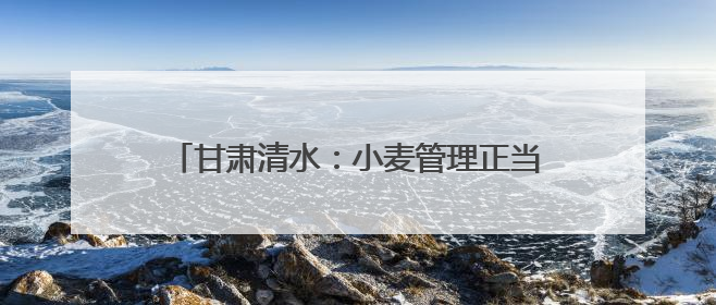 甘肃清水：小麦管理正当时 守护粮“芯”绘丰景