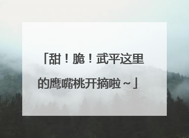 甜！脆！武平这里的鹰嘴桃开摘啦～