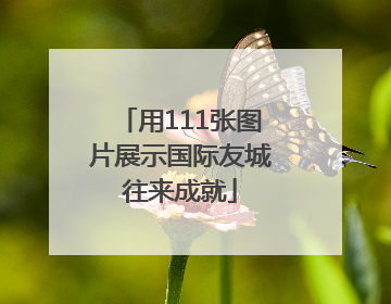 用111张图片展示国际友城往来成就