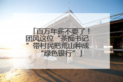 百万年薪不要了！团风这位“茶痴书记”带村民把荒山种成“绿色银行”