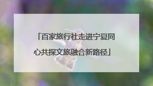 百家旅行社走进宁夏同心共探文旅融合新路径