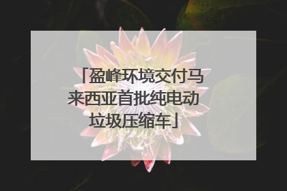 盈峰环境交付马来西亚首批纯电动垃圾压缩车