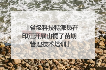 省级科技特派员在印江开展山桐子苗期管理技术培训