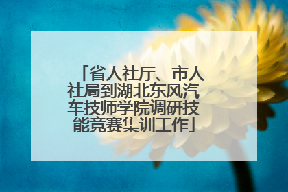 省人社厅、市人社局到湖北东风汽车技师学院调研技能竞赛集训工作