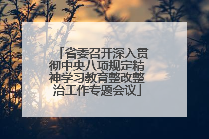 省委召开深入贯彻中央八项规定精神学习教育整改整治工作专题会议