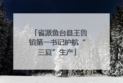 省派鱼台县王鲁镇第一书记护航“三夏”生产