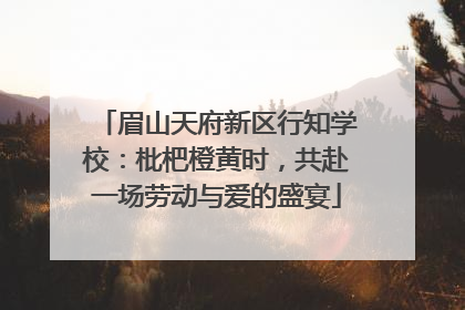 眉山天府新区行知学校：枇杷橙黄时，共赴一场劳动与爱的盛宴