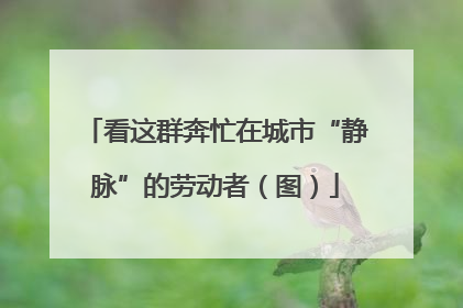 看这群奔忙在城市“静脉”的劳动者（图）