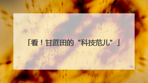 看！甘蔗田的“科技范儿”