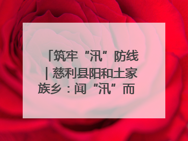 筑牢“汛”防线｜慈利县阳和土家族乡：闻“汛”而动 全员下沉筑牢防汛“安全堤”