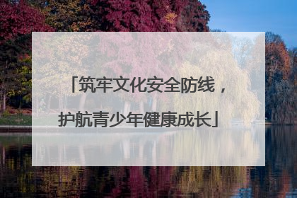 筑牢文化安全防线，护航青少年健康成长