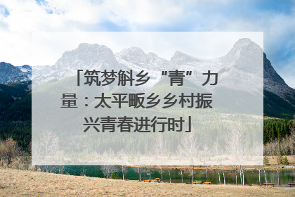筑梦斛乡“青”力量：太平畈乡乡村振兴青春进行时