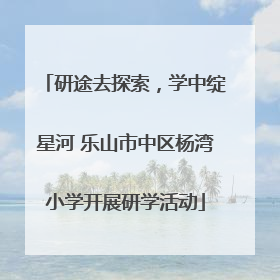 研途去探索，学中绽星河 乐山市中区杨湾小学开展研学活动