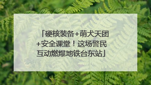 硬核装备+萌犬天团+安全课堂！这场警民互动燃爆地铁台东站