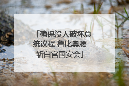确保没人破坏总统议程 鲁比奥腰斩白宫国安会