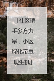 社区携手多方力量，小区绿化带重现生机