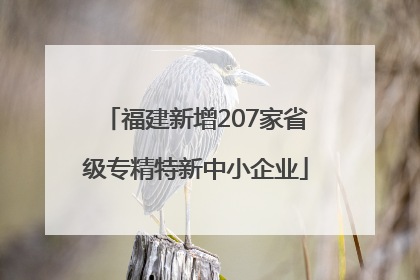 福建新增207家省级专精特新中小企业