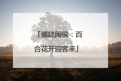 福建闽侯：百合花开迎客来