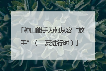种田能手为何从容“放手”（三夏进行时）