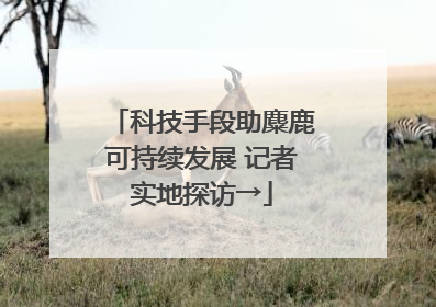 科技手段助麋鹿可持续发展 记者实地探访→
