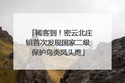 稀客到！密云北庄镇首次发现国家二级保护鸟类凤头鹰