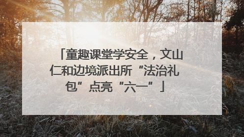 童趣课堂学安全，文山仁和边境派出所“法治礼包”点亮“六一”