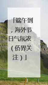 端午到，海外节日气氛浓（侨界关注）