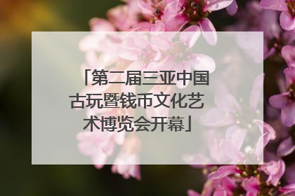 第二届三亚中国古玩暨钱币文化艺术博览会开幕