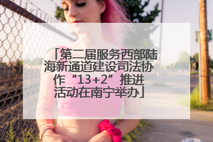 第二届服务西部陆海新通道建设司法协作“13+2”推进活动在南宁举办
