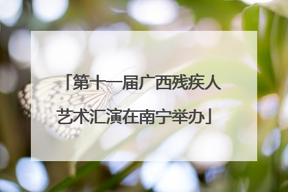 第十一届广西残疾人艺术汇演在南宁举办