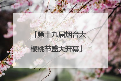 第十九届烟台大樱桃节盛大开幕
