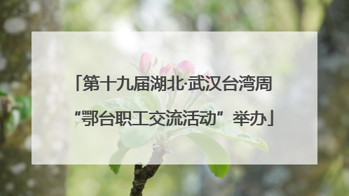 第十九届湖北·武汉台湾周“鄂台职工交流活动”举办