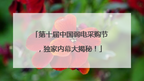 第十届中国弱电采购节，独家内幕大揭秘！