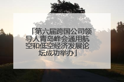 第六届跨国公司领导人青岛峰会通用航空和低空经济发展论坛成功举办