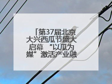 第37届北京大兴西瓜节盛大启幕 “以瓜为媒”激活产业融合发展新动能