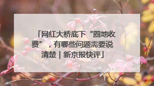 网红大桥底下“圈地收费”，有哪些问题需要说清楚｜新京报快评