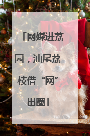网媒进荔园，汕尾荔枝借“网”出圈