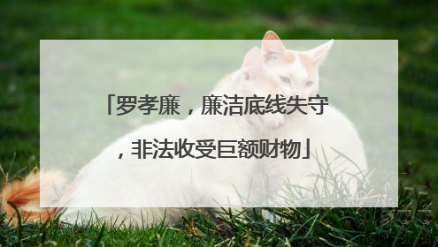 罗孝廉，廉洁底线失守，非法收受巨额财物