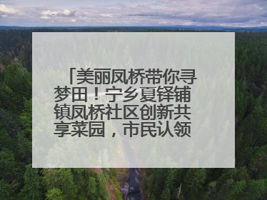 美丽凤桥带你寻梦田！宁乡夏铎铺镇凤桥社区创新共享菜园，市民认领菜土，体验耕种收获乐趣