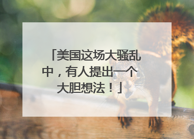 美国这场大骚乱中，有人提出一个大胆想法！