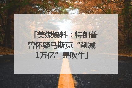 美媒爆料：特朗普曾怀疑马斯克“削减1万亿”是吹牛