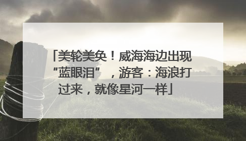 美轮美奂！威海海边出现“蓝眼泪”，游客：海浪打过来，就像星河一样