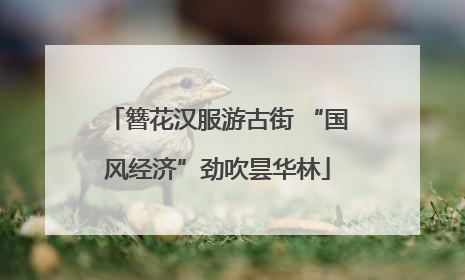 簪花汉服游古街 “国风经济”劲吹昙华林