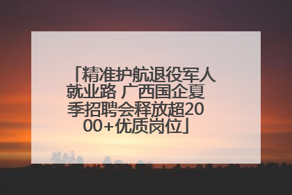 精准护航退役军人就业路 广西国企夏季招聘会释放超2000+优质岗位