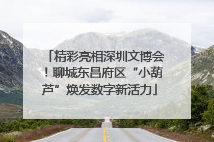精彩亮相深圳文博会！聊城东昌府区“小葫芦”焕发数字新活力