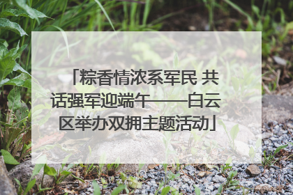 粽香情浓系军民 共话强军迎端午——白云区举办双拥主题活动