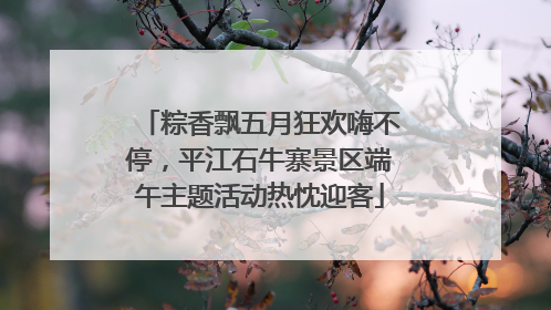 粽香飘五月狂欢嗨不停，平江石牛寨景区端午主题活动热忱迎客