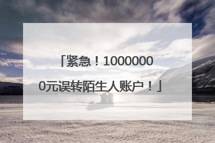 紧急！10000000元误转陌生人账户！